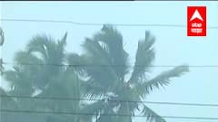 Maharashtra Rain Alert : संपूर्ण मराठवाड्यासाठी यलो अलर्ट जारी, 3 दिवस मुसळधार पावसाचा अंदाज