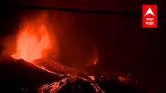 California wildfires:कॅलिफोर्नियाच्या नॅशनल पार्कमध्ये आगडोंब,नॅशनल पार्कमधील जनरल शरमन ट्री धोक्यात