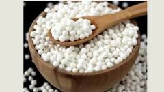 Sabudana Health Benefits: কেন খাবারের তালিকায় অবশ্যই রাখবেন সাবুদানা? কী কী উপকারী গুণ রয়েছে এতে?