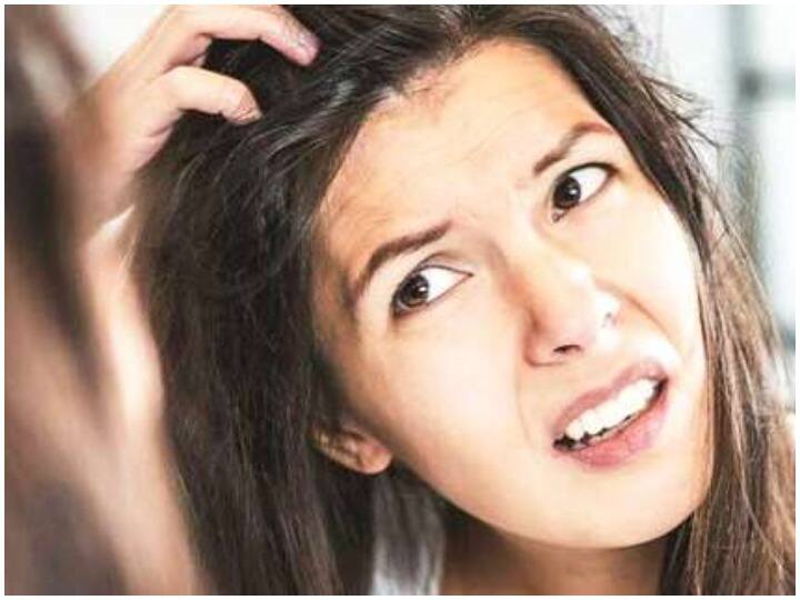 Health Care Tips: बालों का Dryness और Dandruff दूर करने के लिए इन चीजों का करें इस्तेमाल