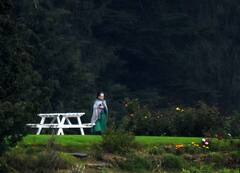 ਪੰਜਾਬ 'ਚ ਮਚੀ ਸਿਆਸੀ ਉਥਲ-ਪੁਥਲ ਵਿਚਾਲੇ, ਸ਼ਿਮਲਾ ਪਹੁੰਚਿਆ ਗਾਂਧੀ ਪਰਿਵਾਰ