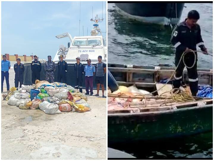 Sea cucumber worth Rs 8 crore seized in Tamil Nadu know why it is so expensive तमिलनाडु में 8 करोड़ की कीमत का समुद्री जीव जब्त, जानिए क्यों है ये  इतना महंगा?