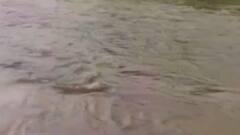 છોટાઉદેપુરમાં ધોધમાર વરસાદ, ઓરસંગ નદી થઈ બે કાંઠે વહેતી, જુઓ ગુજરાતી ન્યૂઝ