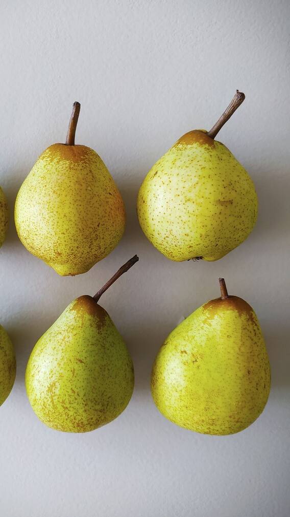 রোজের খাদ্যতালিকায় রাখুন নাসপাতি, জেনে নিন ১০ গুণ