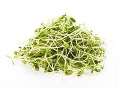 ब्रेकफास्ट में Sprouts खाएं, इससे सैंडविच से लेकर सलाद तक बना सकते हैं, जानिए तरीका और फायदे