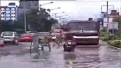 Kolkata Rain: বৃষ্টি থেমে গেলেও ভিআইপি রোডের একাংশ এখনও জলের তলায় । Bangla News