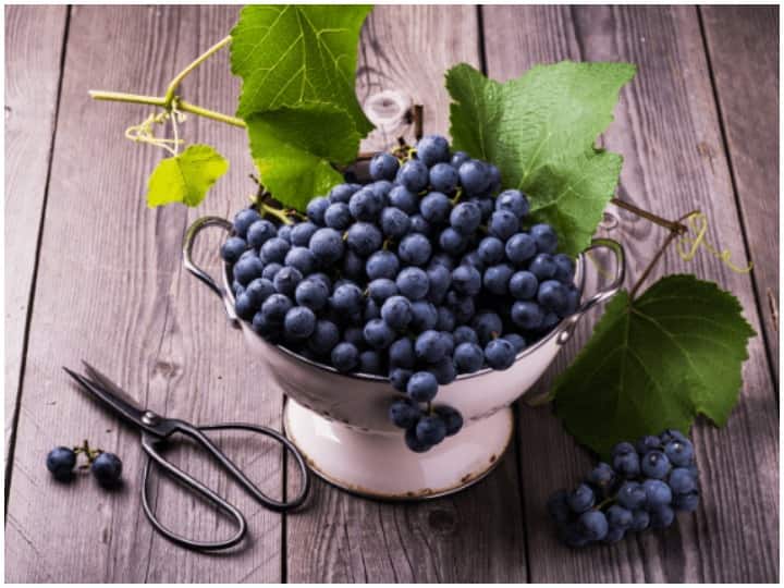 Health Care Tips, Hair Fall is Removed by Eating Black Grapes And Health Benefits Of Eating Black Grapes Health Care Tips: Black Grapes  खाने से Hair Fall की समस्या होती है दूर, जानें इसके चमत्कारी फायदे