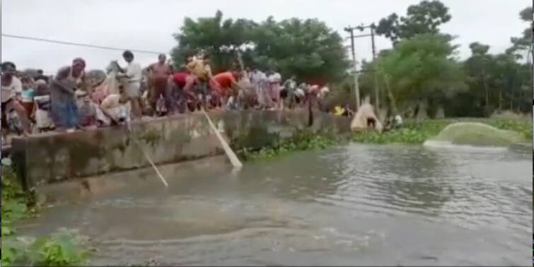 North 24 Parganas Locals engage to fishing on streets after embankment water overflows at Barasat North 24 Parganas: বৃষ্টিতে বারাসাতে ভেড়ির জল উপচে রাস্তায়, জাল ফেলে মাছ ধরতে ব্যস্ত স্থানীয়রা