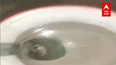 Nashik : दुधात Paraffin Powder आणि Soybean तेलाची भेसळ, अन्न व सुरक्षा विभागाचा दुध केंद्रावर छापा