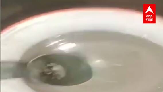 Nashik : दुधात Paraffin Powder आणि Soybean तेलाची भेसळ, अन्न व सुरक्षा विभागाचा दुध केंद्रावर छापा