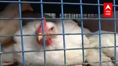 श्रावणमास, गणोशोत्सव संपताच Chicken आणि अंड्याच्या दरात वाढ, चिकन 10 रुपयांने तर अंड 1 रुपयाने महाग