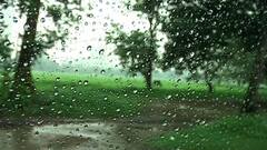 Weather Report: দক্ষিণবঙ্গের বেশ কিছু জেলায় ভারী বৃষ্টির পূর্বাভাস | Bangla News