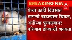 श्रावण महिना आणि गणेशोत्सव संपताच Chicken Eggs महागली, चिकन 10 तर अंड एक रुपयाने महागलं