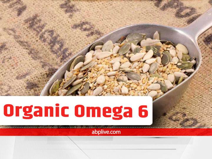 Omega-6 And Omega-9 Fetty Acid Natural Food Source And Health Benefits Omega For Health: ओमेगा-6 और ओमेगा-9 दिमाग को बनाता है हेल्दी, शरीर को स्वस्थ रखने के लिए जरूरी