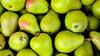 Pears Benefits: দৈনন্দিন খাদ্যতালিকায় রাখুন নাসপাতি, জেনে নিন ১০ গুণ