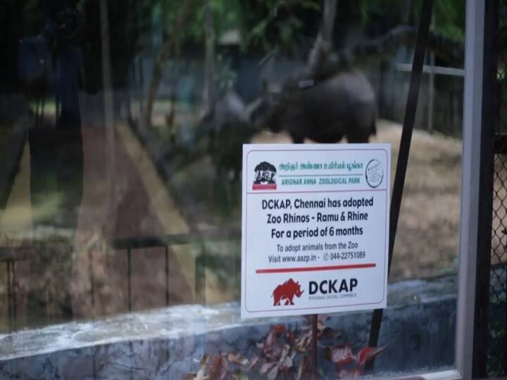 Rhinoceros Day: A private company that adopted rhinos at the Vandalur Zoo காண்டாமிருக தினம்: வண்டலூர் உயிரியல் பூங்காவில் காண்டாமிருகங்களை தத்தெடுத்த தனியார் நிறுவனம்