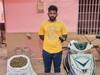 மதுரை டூ தூத்துக்குடிக்கு டூ வீலரில் கஞ்சா கடத்தல் - டிப்டாப் வாலிபரிடம் 11 கிலோ கஞ்சா பறிமுதல்
