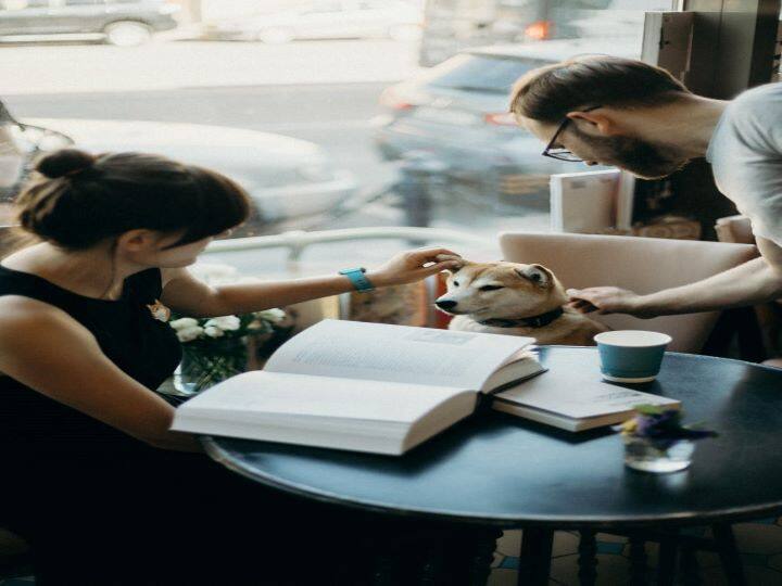 Career Guidance: जीव-जन्तुओं से प्यार करने वाले छात्र 12वीं के बाद करें Zoology का कोर्स, जानें करियर स्कोप Do Zoology course after 12th, you will get a chance for growth with a great career Career Guidance: जीव-जन्तुओं से प्यार करने वाले छात्र 12वीं के बाद करें Zoology का कोर्स, जानें करियर स्कोप