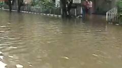 Kolkata Waterlogged: খাল আর রাস্তা মিলেমিশে একাকার, মুকুন্দপুরের একাংশে জল-যন্ত্রণা চলছেই | Bangla News