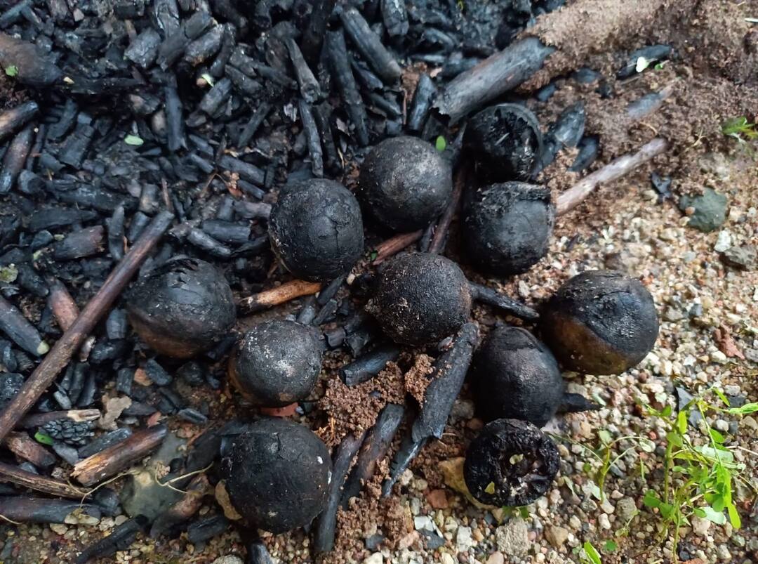 चिमूर तालुक्यात अंगणवाडी बाहेर जादूटोण्याचा प्रकार; प्रशासनाच्या पुढाकाराने पोषण आहार पूर्ववत Chandrapur news Chimur Anganwadi black magic jadutona incident चिमूर तालुक्यात अंगणवाडी बाहेर जादूटोण्याचा प्रकार; प्रशासनाच्या पुढाकाराने पोषण आहार पूर्ववत