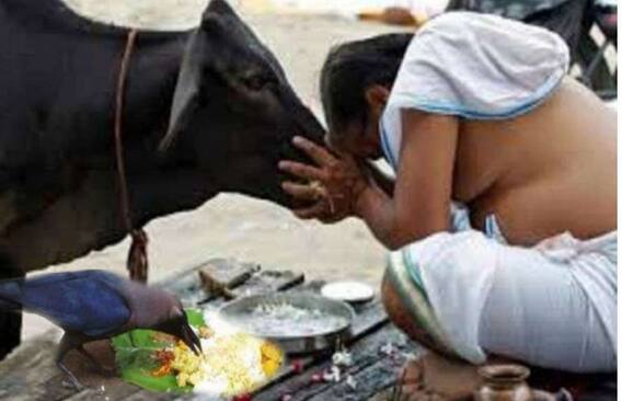 Pitru Paksha 2021: Only These People Can Perform Shradh. Know Dates, Rules & More