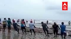 Sindhudurg : मालवणात मच्छिमारांना 'बंपर लॉटरी', देवबागमध्ये बांगड्यांचा 'बंपर कॅच' Special Report