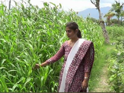 High profit in fodder production by doing natural fodder research திண்டுக்கல் : இயற்கை தீவன ஆராய்ச்சி.. லாபம் ஈட்டும் பழனியை சேர்ந்த இளம்பெண்