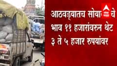 Soyabean : सोयाबीनचा 11 हजारांचा भाव चार हजारांवर; केंद्राच्या चुकीच्या धोरणाचा शेतकऱ्यांना फटका