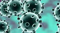 Coronavirus India Update: COVID cases INCREASE after a dip for two days
