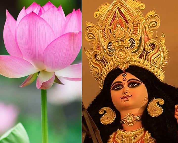 দশভূজা দেবীর হাতে ব্রহ্মা তুলে দেন পদ্ম৷ পাঁকে জন্মায় পদ্ম। কিন্তু তা কলঙ্কহীন। দেবীর আশীর্বাদে অন্ধকার কেটে আলোর সঞ্চার হয়। সেই আলোর বার্তাবহ পদ্মফুল।