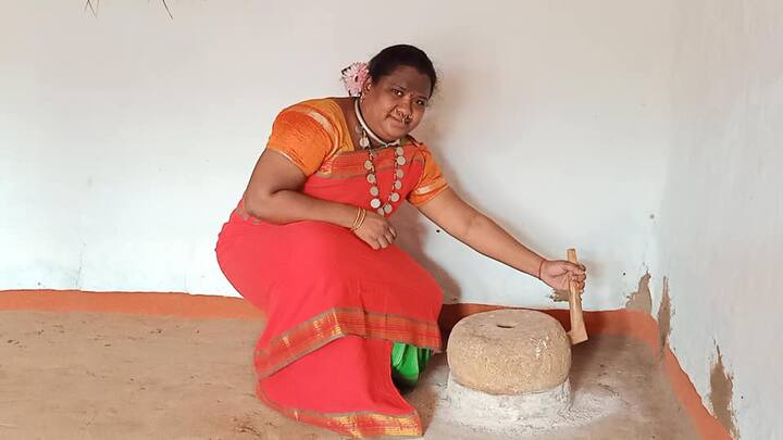 విశాఖ జిల్లా అరకు వ్యాలీ మండలంలోని పెదలబుడు గ్రామంలోని 