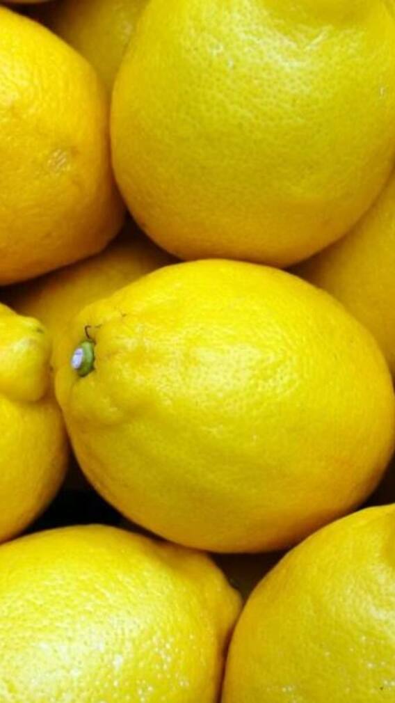 লেবুতেই লাখ গুণ!