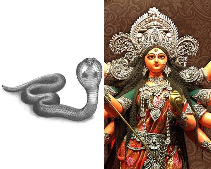 শেষনাগ দেবী দুর্গাকে দিয়েছিলেন নাগপাশ৷ শুদ্ধ চেতনার প্রতীক হল এই সাপ।