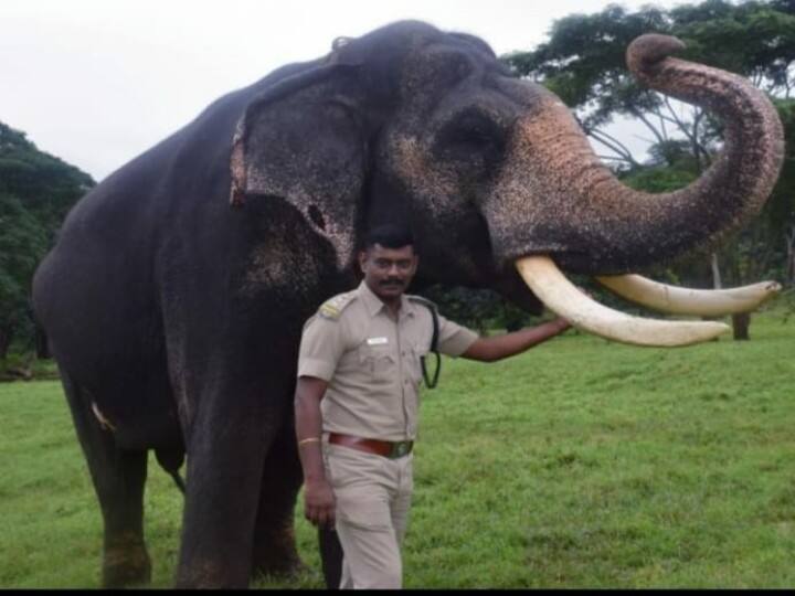 Valbarai Forest ranger arrested for arguing with tourists சுற்றுலா பயணிகளிடம் தகராறு: வனச்சரகர் கைது; வன ஊழியர்கள் போராட்டம்!