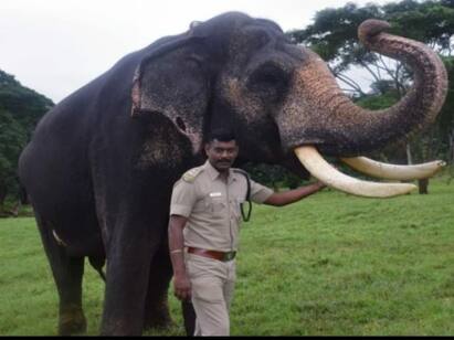 Valbarai Forest ranger arrested for arguing with tourists சுற்றுலா பயணிகளிடம் தகராறு: வனச்சரகர் கைது வன ஊழியர்கள் போராட்டம்!