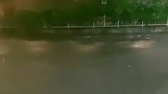 નવસારીઃ વિવિધ વિસ્તારોમાં વરસી રહ્યો છે ધોધમાર વરસાદ, જુઓ ગુજરાતી ન્યૂઝ