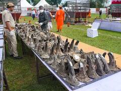 World Rhino Day: বিশ্ব গণ্ডার দিবসে অসমে পুড়িয়ে দেওয়া হল প্রায় আড়াই হাজার খড়্গ