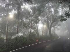 जगण्याचा आशावाद देणाऱ्या मेळघाटातील निसर्गाचं सौंदर्य छायाचित्राच्या माध्यमातून