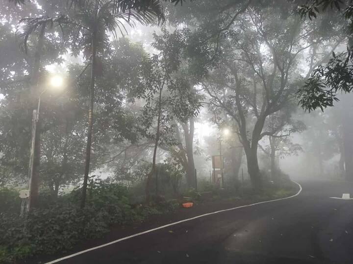 अमरावती जिल्ह्यात पावसाळ्यात मेळघाटात निसर्गाची मुक्त उधळण आपल्याला पाहायला मिळते. त्यामुळे पावसाळ्यात पर्यटक मेळघाटाकडे आकर्षित होतो. हेच निसर्ग सौंदर्य छायाचित्रकार निलश्याम चौधरी आणि मनीष जगताप यांनी टिपलं आहे.