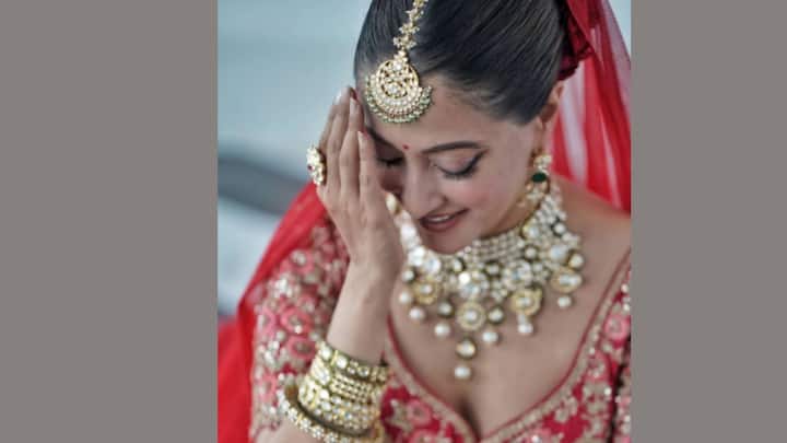 কখনও চোখের বালির আশালতা তো কখনও অন্তরমহলের রুক্মিনী হয়ে উঠেছেন পর্দায়।