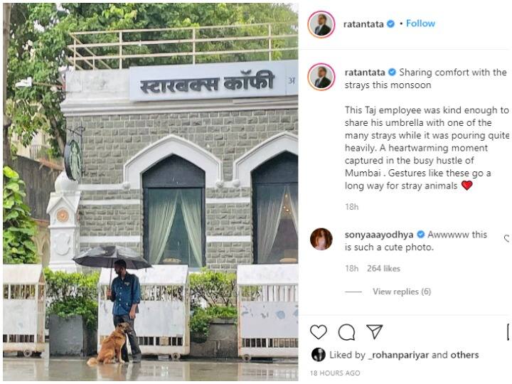 कुत्ते के साथ छाता शेयर करने पर मिली कर्मचारी को रतन टाटा की प्रशंसा, जानिए क्या है वायरल कहानी Ratan Tata applauds Taj employee for sharing umbrella with dog know viral story कुत्ते के साथ छाता शेयर करने पर मिली कर्मचारी को रतन टाटा की प्रशंसा, जानिए क्या है वायरल कहानी