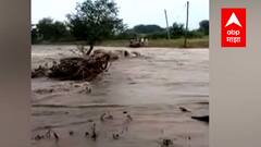 Yavatmal : झिरपुरवाडीत बंधारा फुटला, मुसळधार पावसामुळे शेतीचं नुकसान : ABP Majha