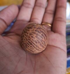 PHOTO : संकष्ट चतुर्थीदिवशी साकारला सुपारीवरील गणपती बाप्पा, पुण्याच्या कलाकाराची अनोखी कला