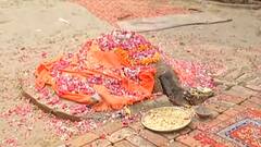 Prayagraj: बाघम्बरी मठ में निभाई गई धूल रोट की परंपरा, जानिए क्या होता है इसमें खास ?