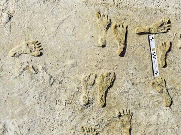 Oldest human footprints in North America found in New Mexico விலகியது மர்மம்... கிடைத்தது நீண்டகால கேள்விக்கு பதில்... 23,000 ஆண்டுகள் பழமையான  மனிதர்களின் காலடித்தடங்கள் கண்டுபிடிப்பு!