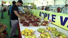 Uttarakhand के सेबों को मिलेगी इंटरनेशनल पहचान! | Dehradun | Hindi News