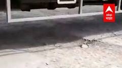 Talegaon Chakan महामार्ग खड्ड्यात, खड्ड्यांमुळे रस्त्यावर मोठी वाहतूक कोंडी, सामान्यांचे पैसे खड्डयात