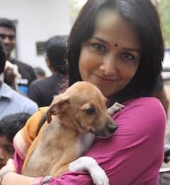 Amala Akkineni; అందాల తార అమల అక్కినేని బర్త్ డే విషస్