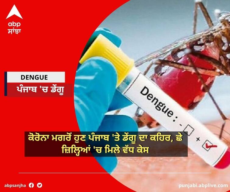 number of dengue cases in Punjab has increased this year, cases in six districts are high Dengue in Punjab: ਕੋਰੋਨਾ ਮਗਰੋਂ ਹੁਣ ਪੰਜਾਬ 'ਤੇ ਡੇਂਗੂ ਦਾ ਕਹਿਰ, ਛੇ ਜ਼ਿਲ੍ਹਿਆਂ 'ਚ ਮਿਲੇ ਵੱਧ ਕੇਸ