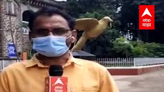 Mahabaleshwar : बलात्काऱ्यांना वाचवण्यात शिवसेना नेत्याच्या दोन मुलांची मदत, अल्पवयीन मुलीवर अत्याचार